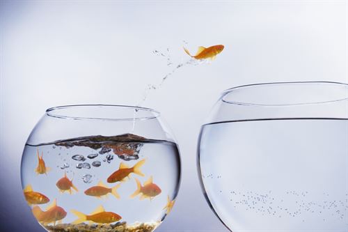 Leading Through Change and Transition - IPMA